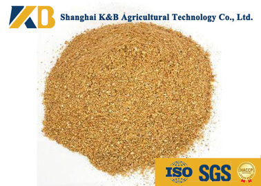 Certificado saudável do ISO HACCP do pó da proteína do milho da categoria da alimentação para a forragem