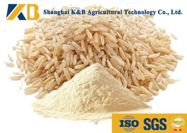O produto comestível 80% Hydrolyzed o uso diário da aptidão da nutrição da proteína do arroz integral